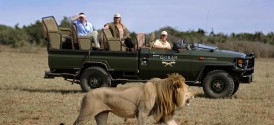 Gorah Elephant Camp - Game Drive