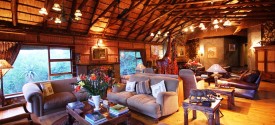 Mkuze Falls Private Game Reserve - 