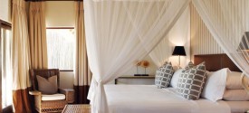 Londolozi Pioneer Camp - 