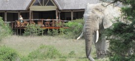 Bush Lodge - Bush Lodge