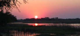 Thamalakane River Lodge - Thamalakane River Lodge