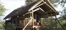 Dinaka Safari Lodge - Dinaka Safari Lodge