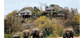 Leopard Hills Private Game Reserve - 