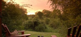 Sabi Sabi Bush Lodge - 