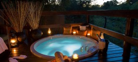 Sabi Sabi Little Bush Camp - 