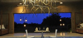 Sabi Sabi Earth Lodge - 