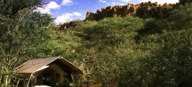 Savute Under Canvas - 