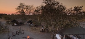 Moremi Under Canvas - 