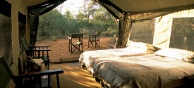 Chobe Under Canvas - 