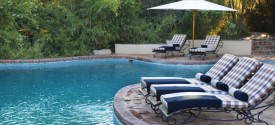 Ngala Safari Lodge - 