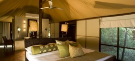 Ngala Tented Camp - 