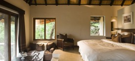 Phinda Mountain Lodge - 