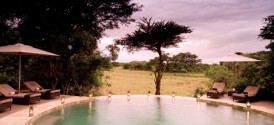 Phinda Forest Lodge - 