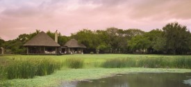 Phinda Zuka Lodge - 