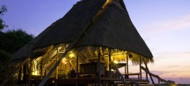 Selinda Camp - 