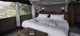 Busanga Bush Camp - 