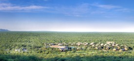 Damara Mopane Lodge - 