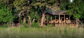 Little Kwara Camp - 