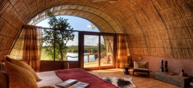 Okuti - 