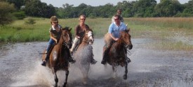 Royal Tree Lodge - 