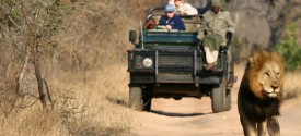 Shumbalala Lodge - 