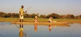 Pom Pom Camp - 