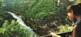 Taita Falcon Lodge - 