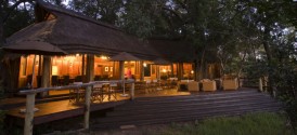 Nxabega Okavango Tented Camp - Guest Area