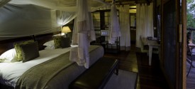 DumaTau Camp - Guest Tent Interior