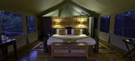 Tubu Tree Camp - Tent At Dusk
