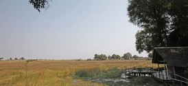 Duba Plains Camp - Main Deck