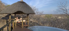 Little Ongava - Relaxing at the Pool