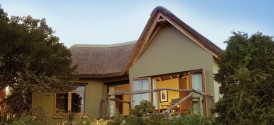 Kuzuko Lodge - Chalet