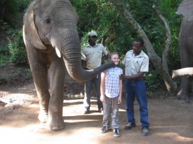 Hazyview Interaction and Elephant Ride