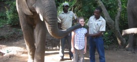 Hazyview Interaction and Elephant Ride - Interaction and Elephant Ride