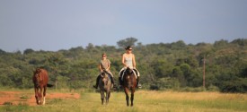 Picnic horse ride near Kruger National Park - Picnic horse ride near Kruger