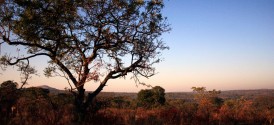 Kruger National Park Game Drive - Kruger Park