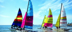 Port Elizabeth Day Tour - Hobie Beach, Port Elizabeth