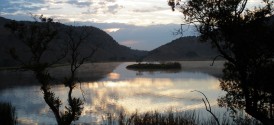 Sun City Game Drive - Kloofzicht Lodge