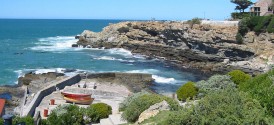 Hermanus Whale Watching - Hermanus Harbour