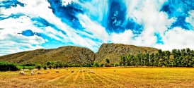 Cape Town Horse Riding Safari - Aquila - Karoo Mountains