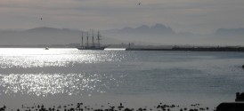 Cape Town Sea Kayaking - Cape Town