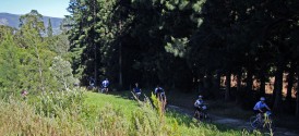 Cape Point and Winelands Bicycle Tour - Biking