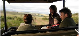 Safari in Africa