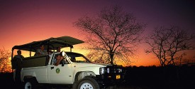 Game drive