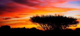Namibian Sunset