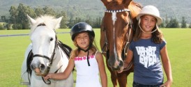 Activities for the whole family