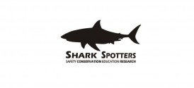 Shark Spotters