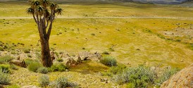 Richtersveld national park landscape