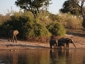 Botswana - Botswana